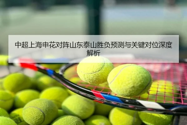 中超上海申花对阵山东泰山胜负预测与关键对位深度解析